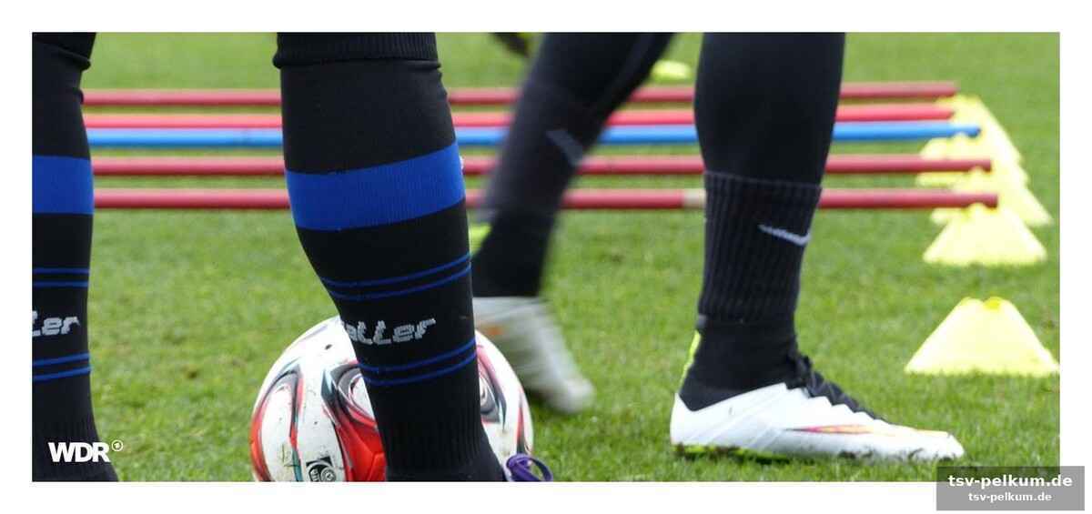 Schalke, paderborn und co.: von alpen bis zur küste
