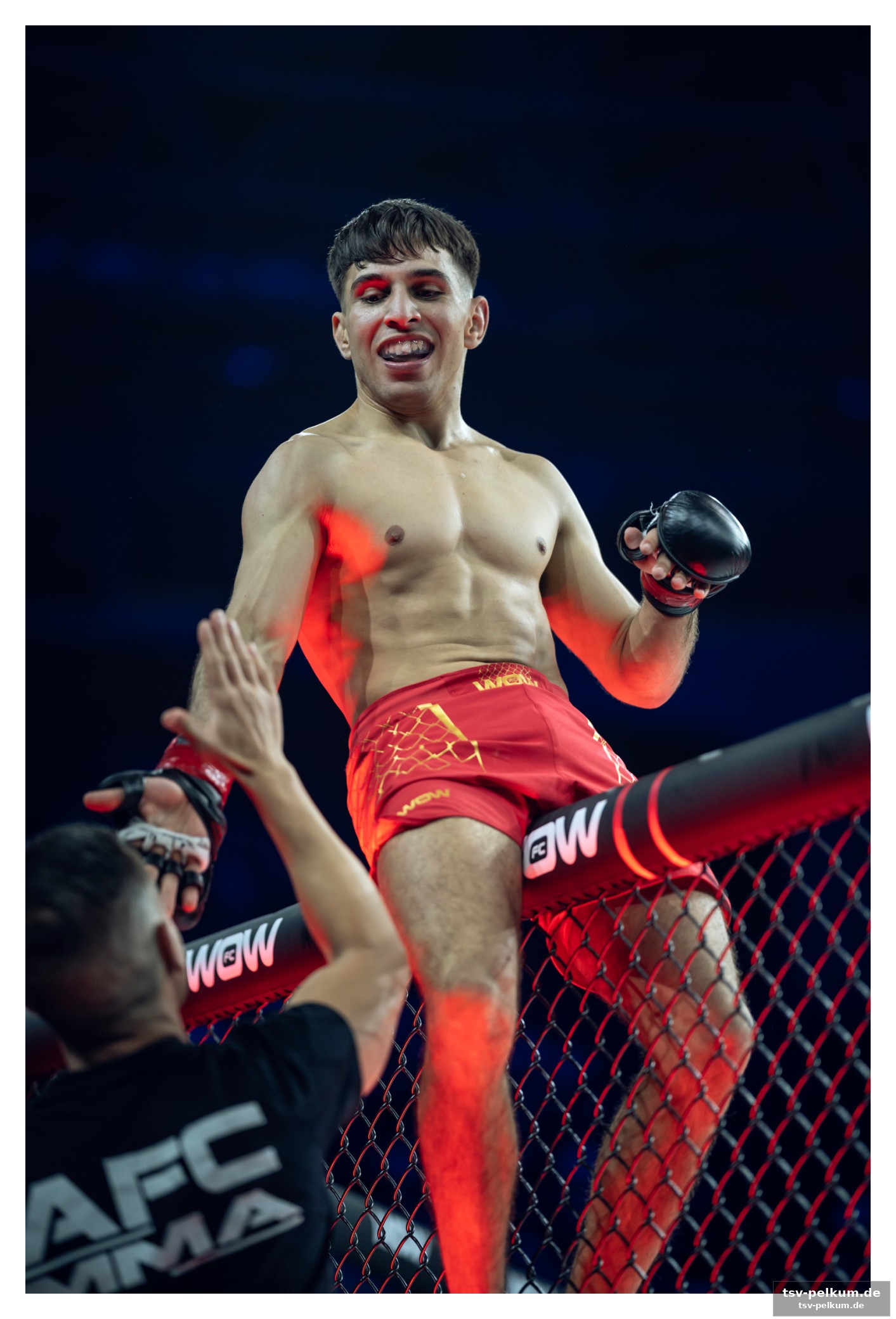 Von der lucha zur ufc-faszination