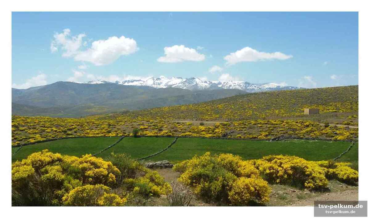 Apfelblütenzauber im cider-land asturiens
