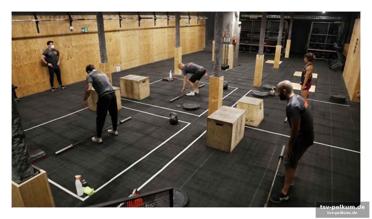 Boom bei sportunternehmen: 46.510 betriebe