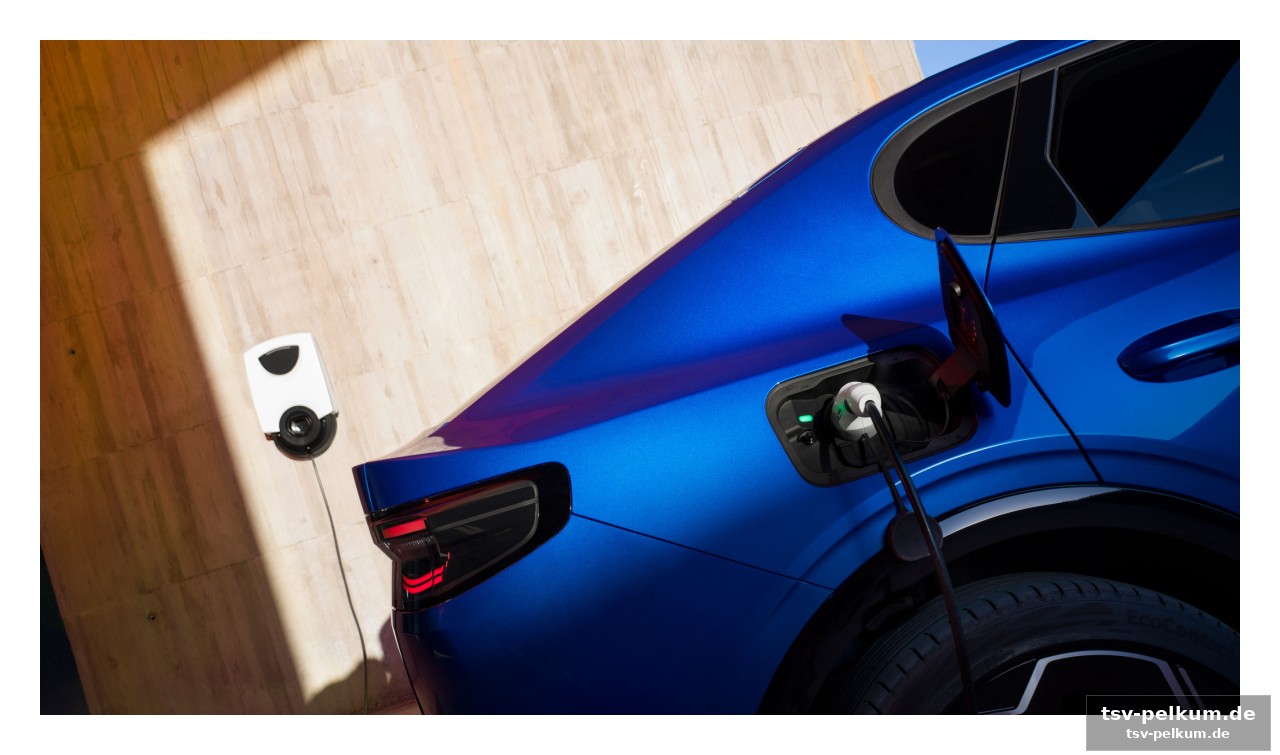 Elektroautos profitieren von der preisspirale?