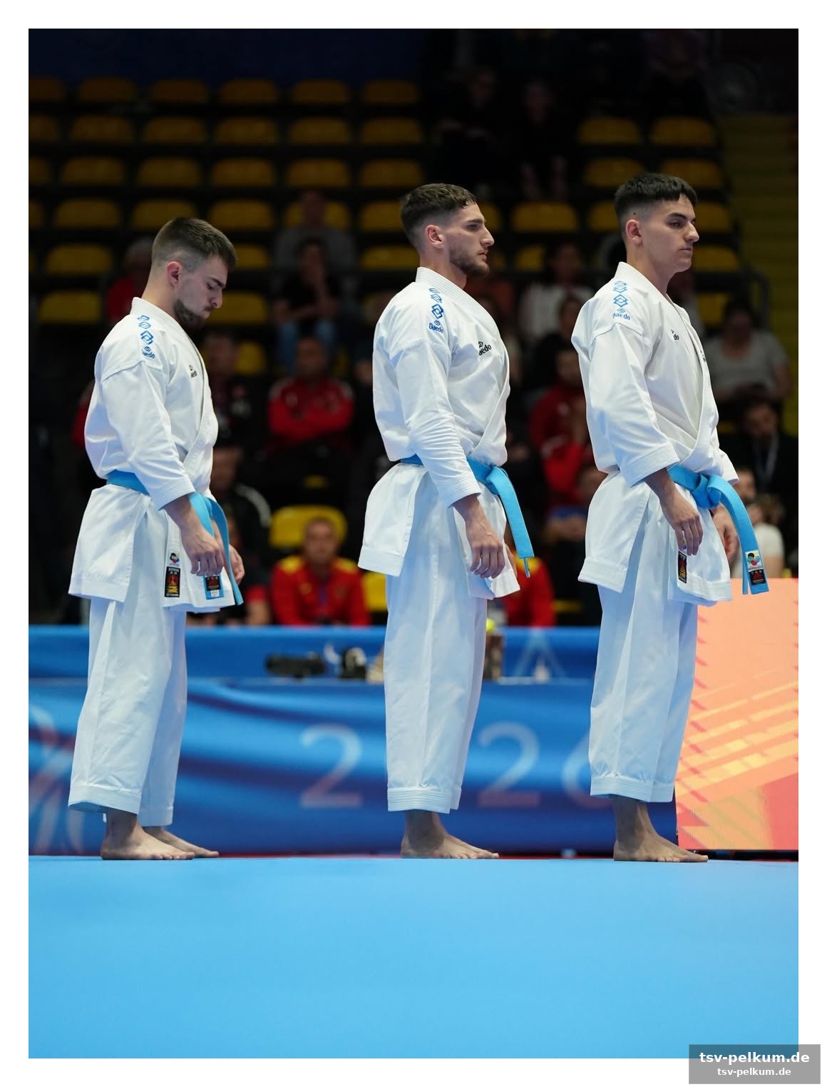Live-timer läuft: neue hoffnung im team-kumite