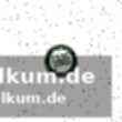 Junge trainer im fokus: beichler, ingolitsch und senft