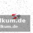 Nürtingen fordert bremen heraus
