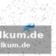 Balingen gewinnt spitzenspiel in dresden