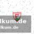 Die aktuelle tabelle der 2. handball-bundesliga