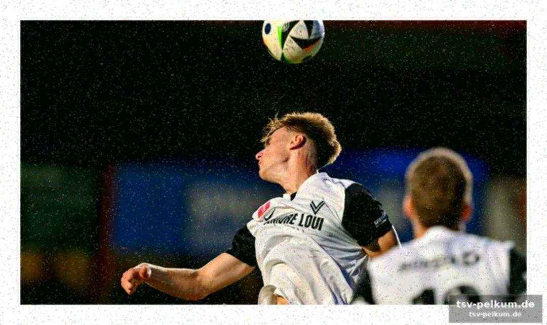 Leobendorf dominiert die regionalliga ost