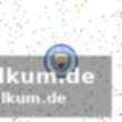 Haaland per elfmeter zum matchwinner