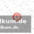 Zweite halbzeit und entscheidung
