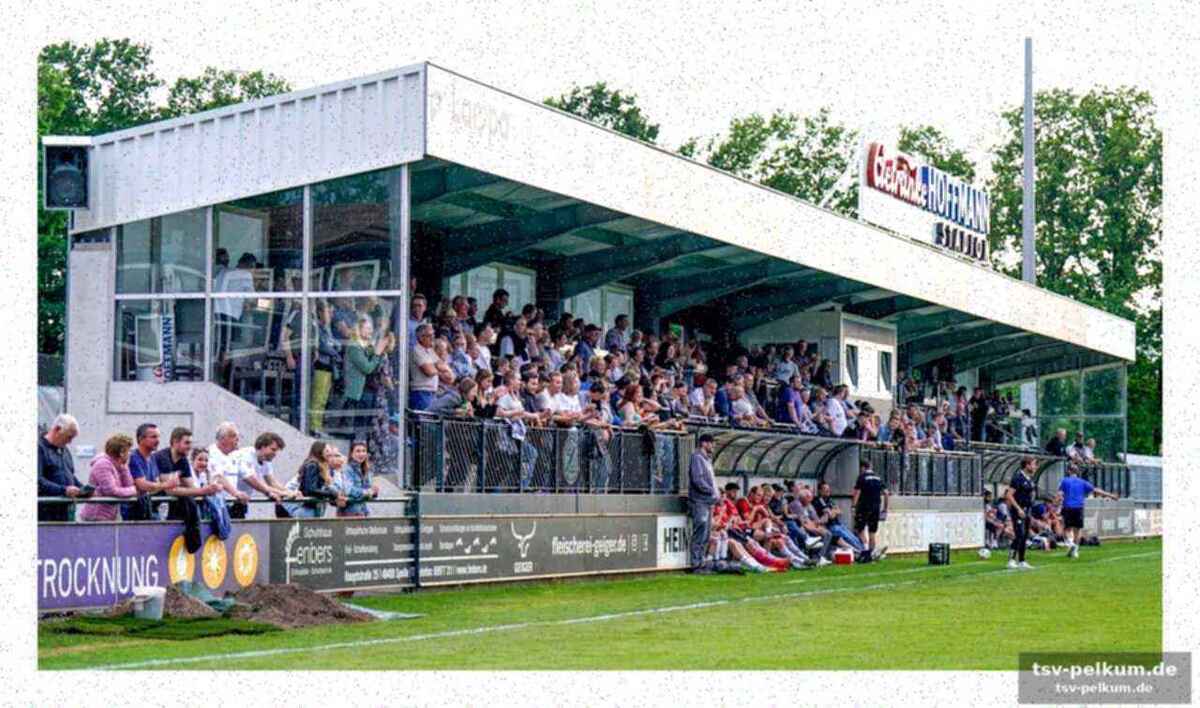 Regionalliga? erst gespräche, dann lizenz