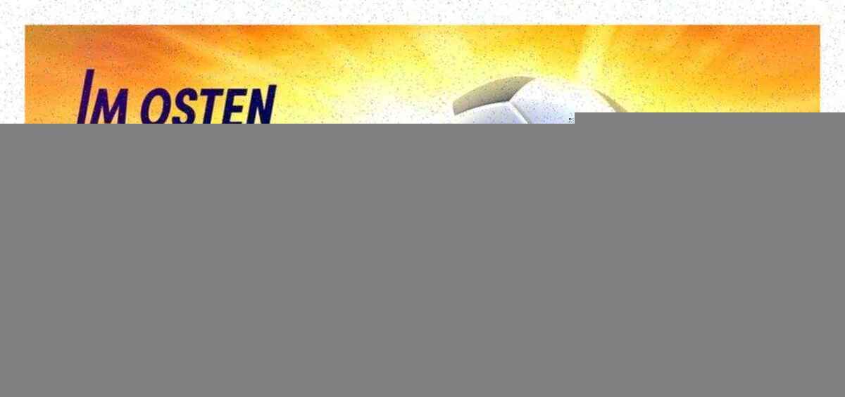 Diskussionen in dresden: was bewegt die fans?