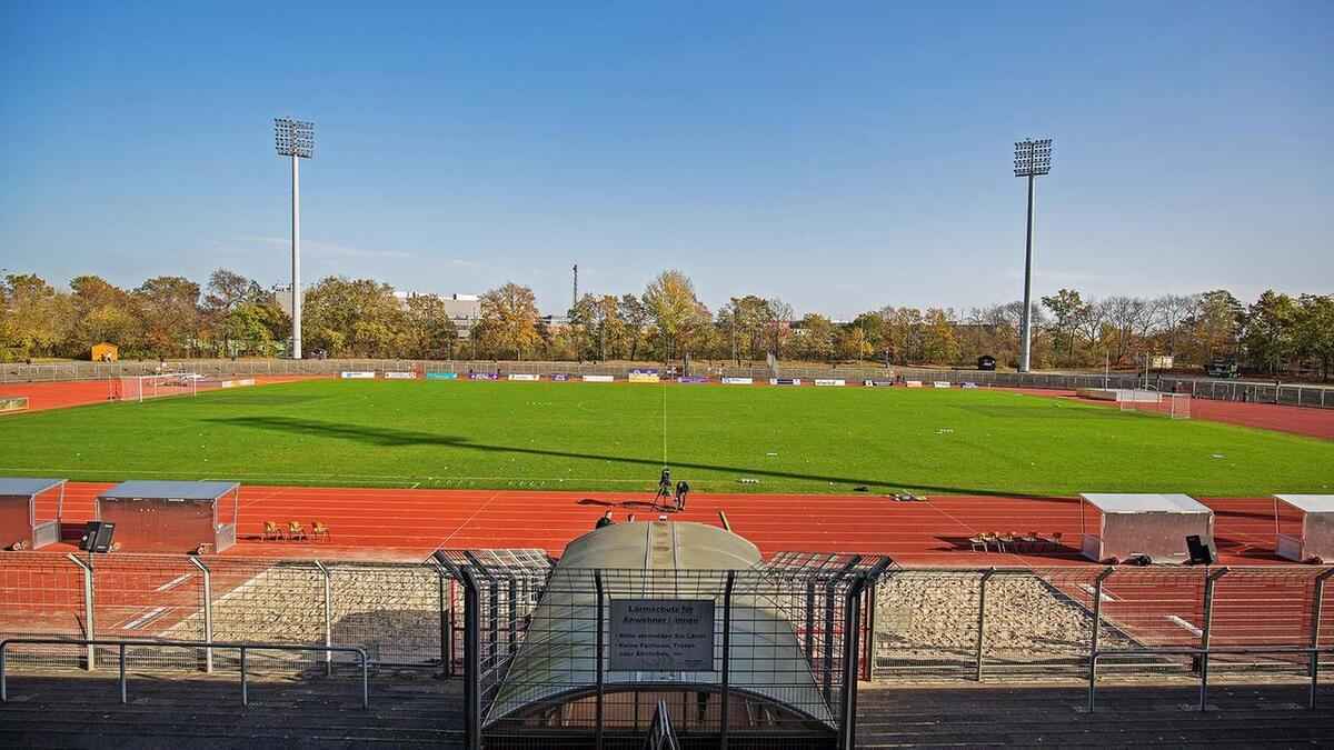 Sport in berlin lahmgelegt: eichenprozessionsspinner stoppt vereine!