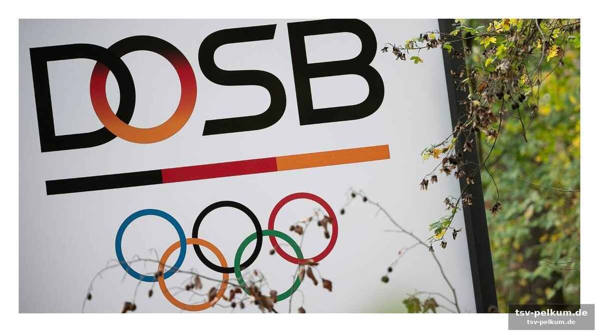 Die sportmilliarde kratzt nur an der oberfläche