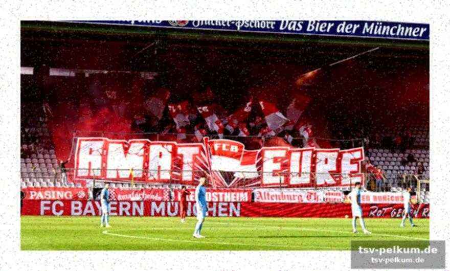 Finanzielle situation der spvgg bayreuth