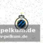Stankovic überzeugt in belgien