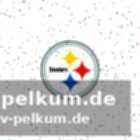 Umfangreiche erfahrung im nfl-bereich