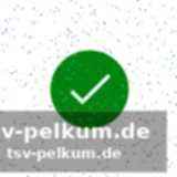 Erfolge in der vergangenheit