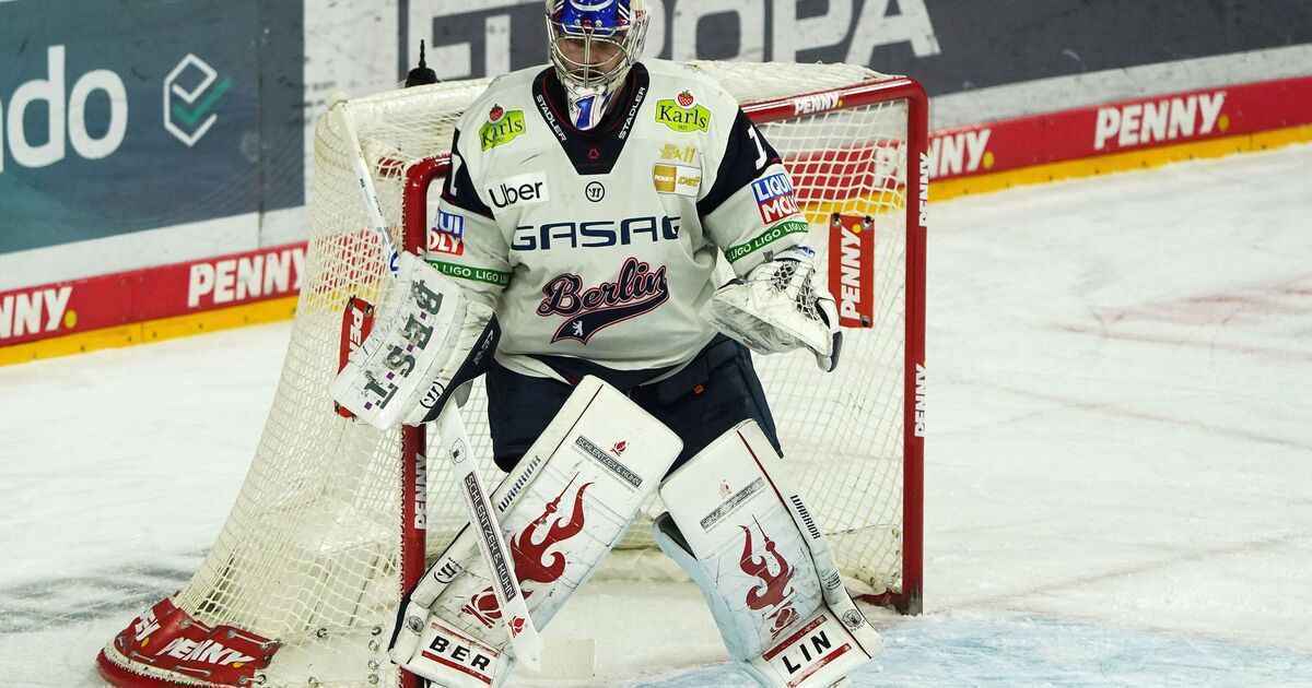 Stettmer: ruhiger kopf führt eisbären zur zwölften meisterschaft!