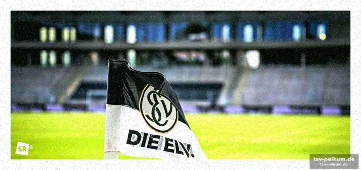 Elf jahre im dienste der sve