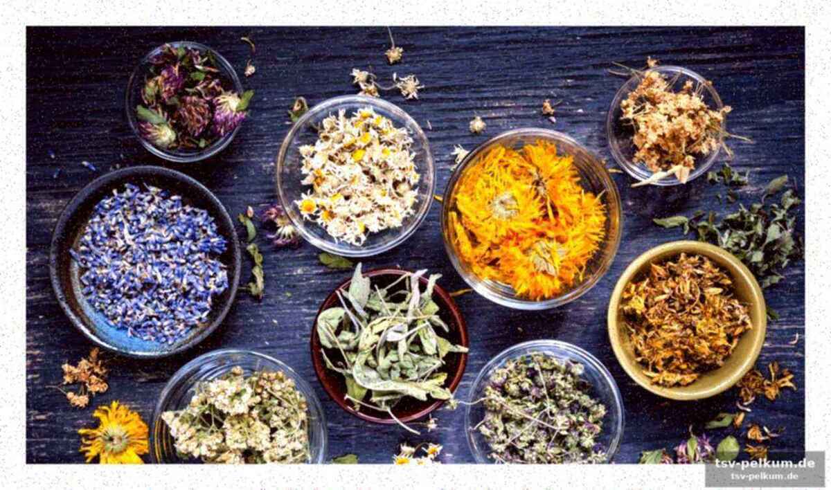 Magnesium und rhodiola: daten versus marketing