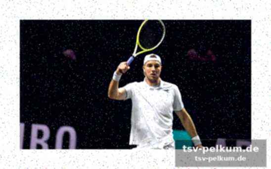 Durchwachsene saison für den davis-cup-routinier