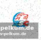 Doppelbürger mit schweizer lizenz