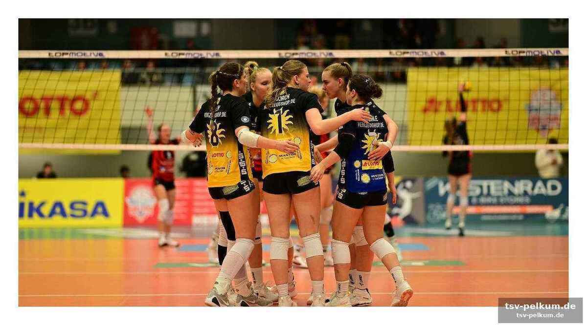 Dominanz in der rudolf-harbig-halle
