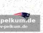 Zwei running backs: eine flexible taktische waffe