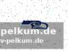 Halbzeitshow mit lady gaga und ricky martin