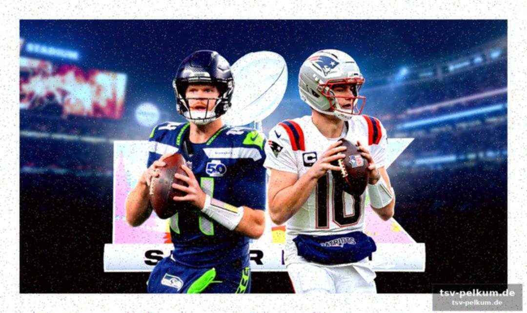 Der karriereweg von sam darnold: vom draft-bust zum super-bowl-kandidaten