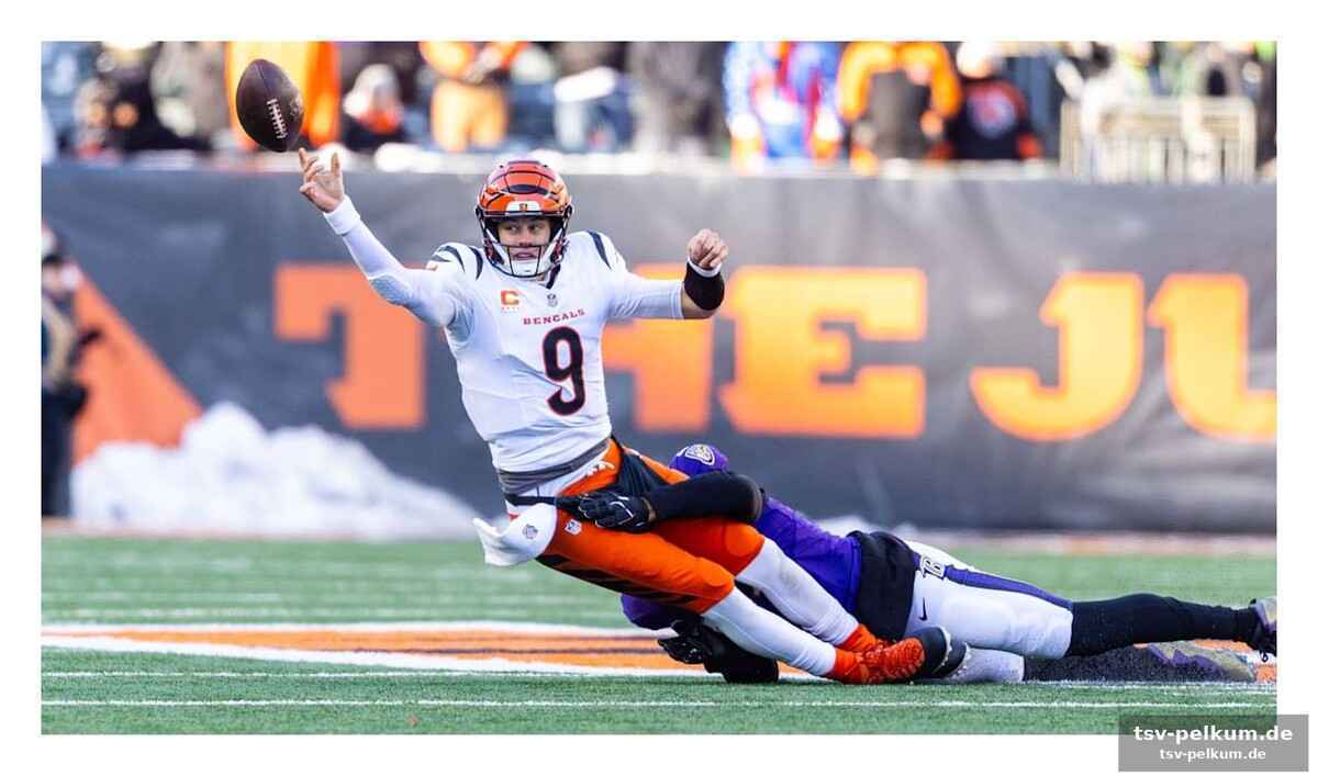 Cincinnati bengals: defensive powerhouse