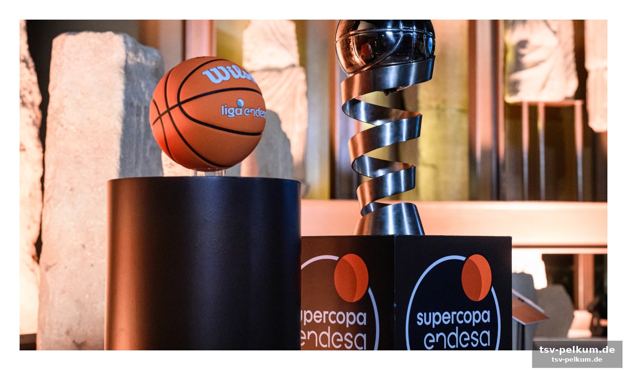 Ein fest für basketballfans in katalonien