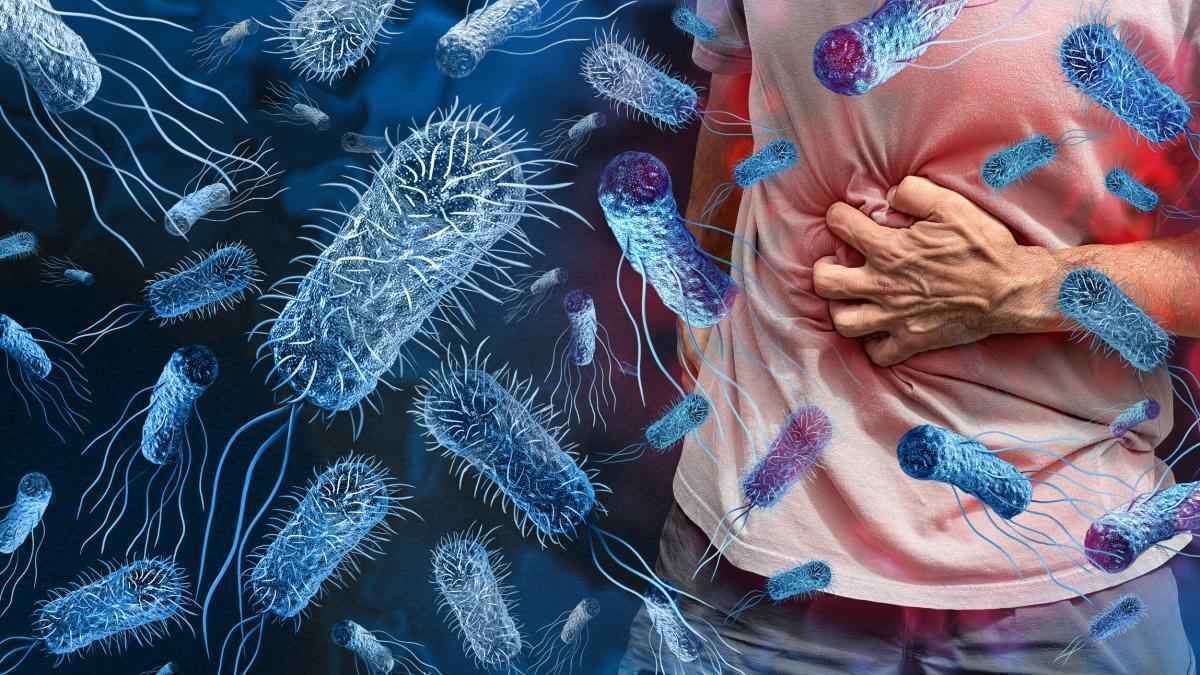Superkeime schlagen zurück: ciprofloxacin versagt immer öfter – auch beim grillhähnchen