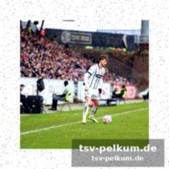 Livestream und weitere informationen