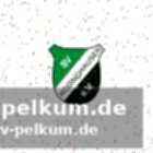 Leon huppert: expertise von hansa rostock
