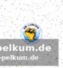 „Es passt einfach alles zusammen“