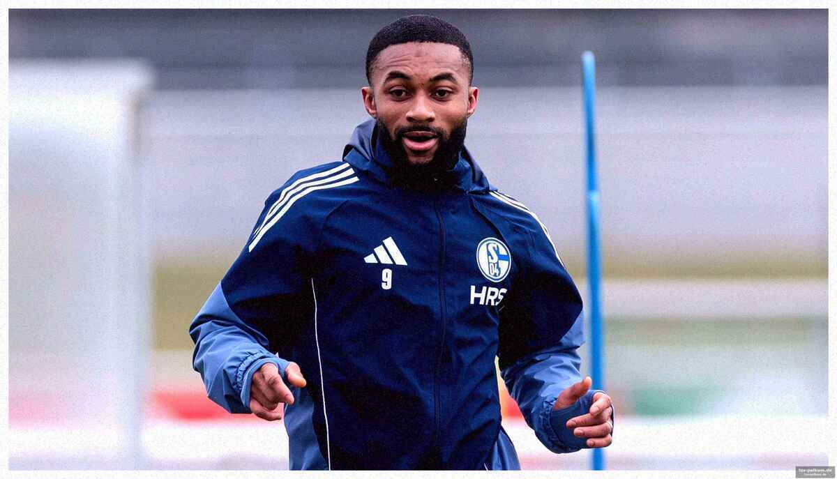 Baumann: wirtschaftliche gründe spielten eine rolle