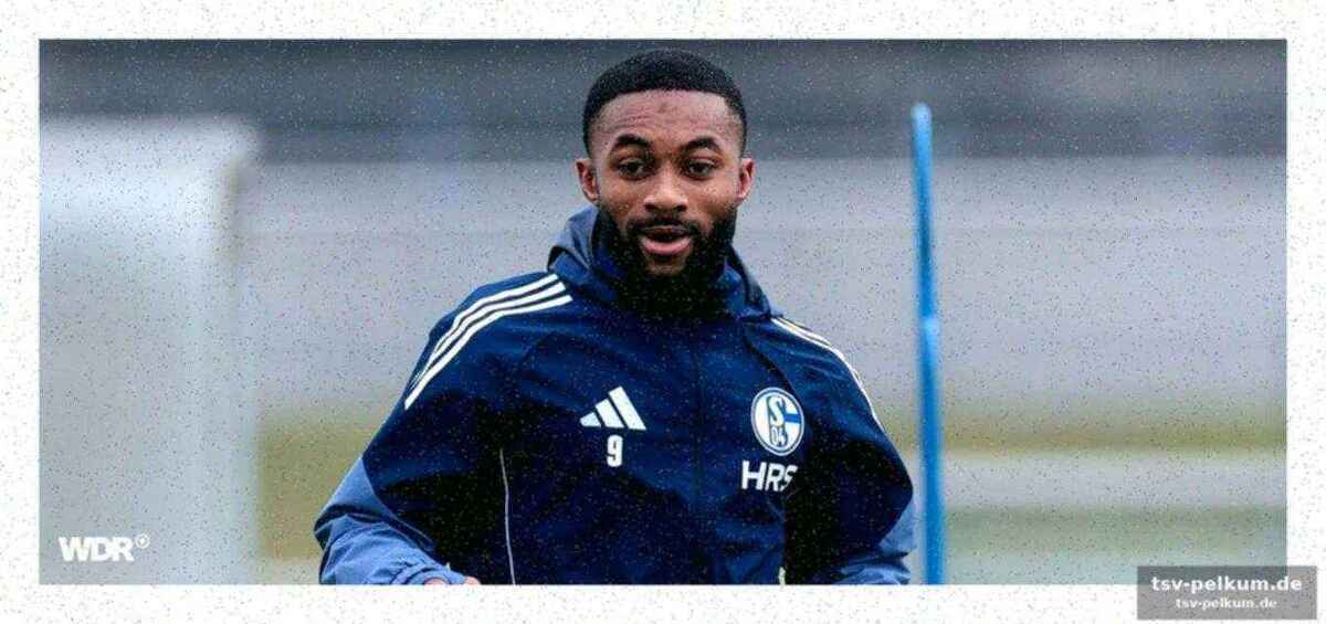 Dzeko als neuer sturmpartner für sylla