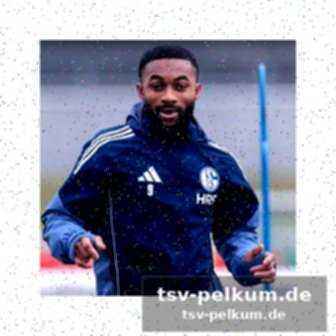 Schalke widerspricht dem angeblichen medizincheck-ergebnis