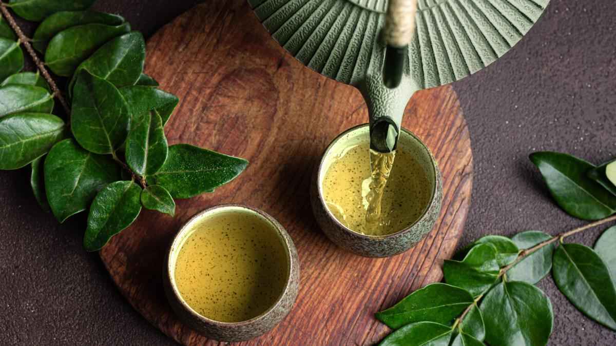 Tasse voll, stoffwechsel turbo? was grüner tee wirklich kann