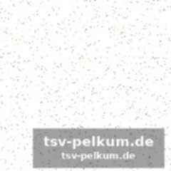 Datenklau bei der wta vermutet