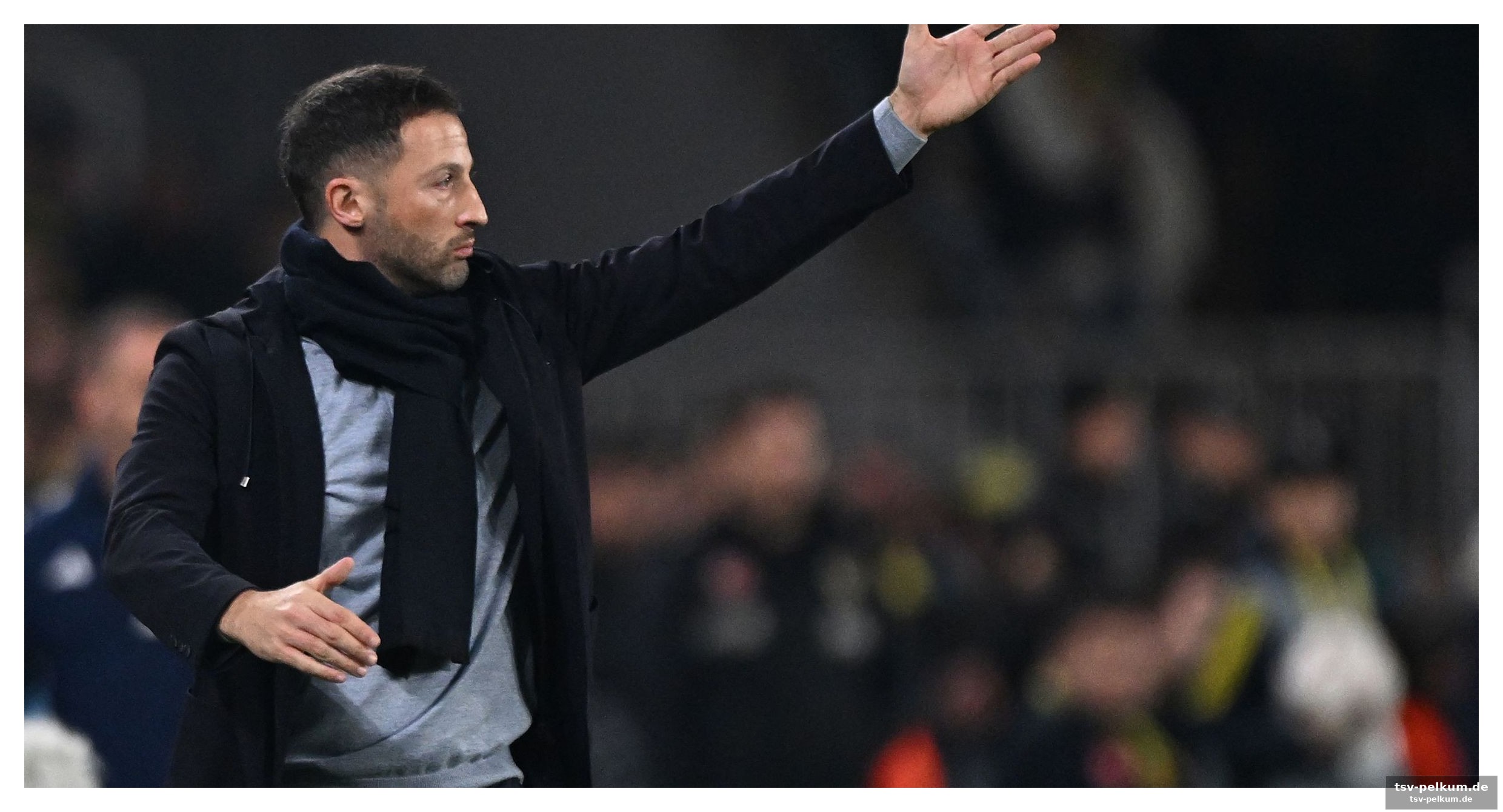 Italienisches kapitel 2.0 für den ehemaligen schalker