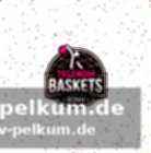 Stankovic lobt heckmanns entwicklung