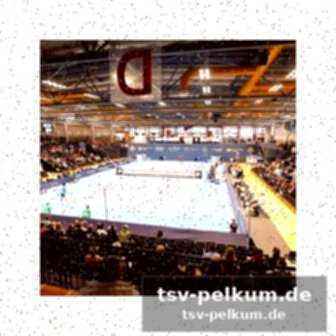 Finale am 8. februar geplant