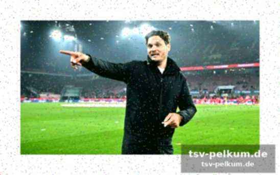 Terzic bleibt cool – und arbeitet weiter am fernsehtisch