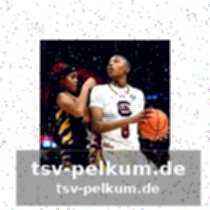 Kritik an beiden teams: trainer schaefer und caldwell unzufrieden