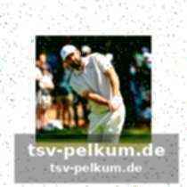 Weitere interessante spieler für daily fantasy golf