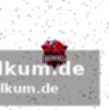 Lo glänzt mit starker performance