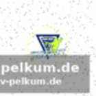 Wertvolle führungsspielerin