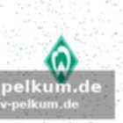 Ein norddeutscher mit werder-vergangenheit